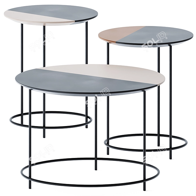 Casamilano Twist Coffee Tables 3D model image 3