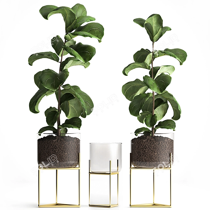 Tropical Plant Collection: Exotic Ficus Lyrata in Stylish Zara Home Pot 3D model image 1