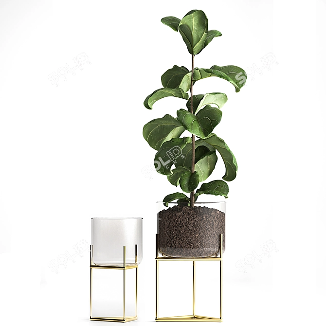 Tropical Plant Collection: Exotic Ficus Lyrata in Stylish Zara Home Pot 3D model image 5
