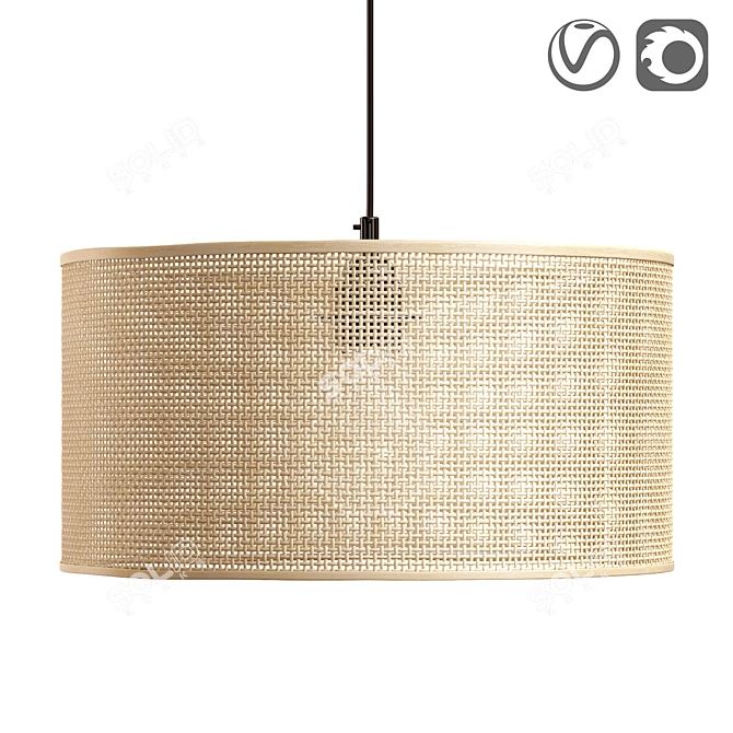 Natural Wicker Rattan Lampshade 3D model image 1