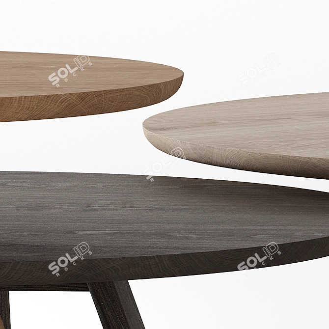 Jardan Flo Low Tables: Stylish Options in Various Sizes and Finishes 3D model image 5