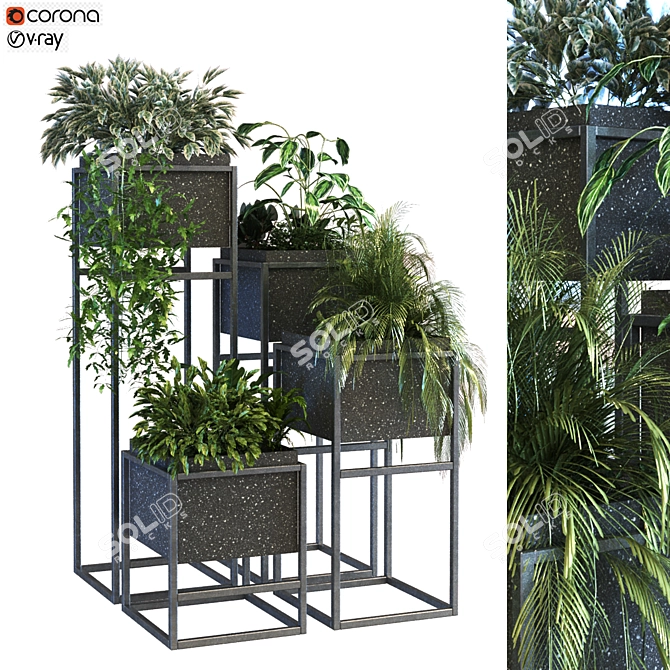 Lush Greenery in Box Set 3D model image 1