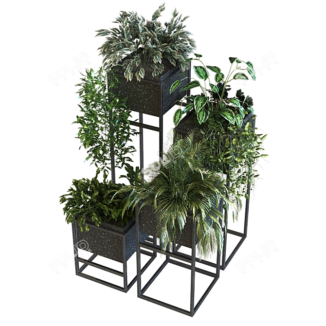 Lush Greenery in Box Set 3D model image 5