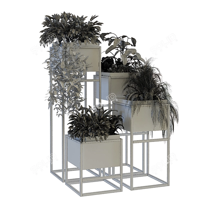 Lush Greenery in Box Set 3D model image 6