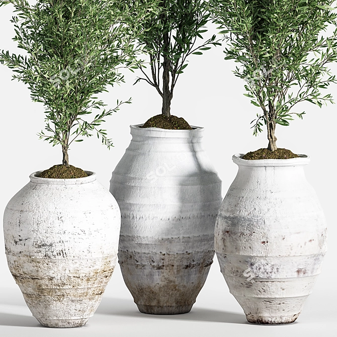 Olive Greenery Indoor Plant Set 3D model image 2