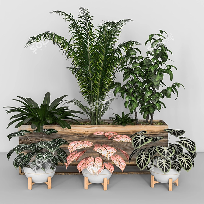 Lush Indoor Plant Set 3D model image 6