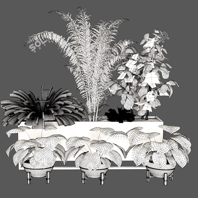 Lush Indoor Plant Set 3D model image 1