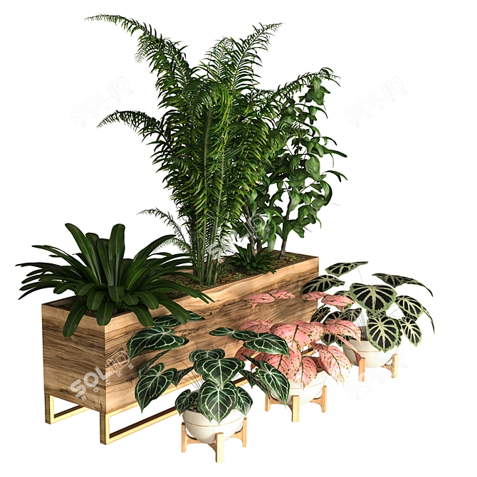 Lush Indoor Plant Set 3D model image 3