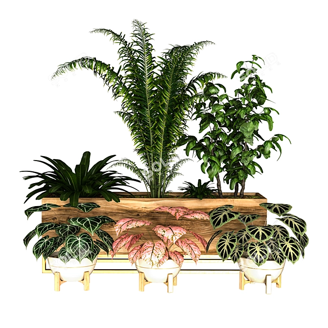 Lush Indoor Plant Set 3D model image 4