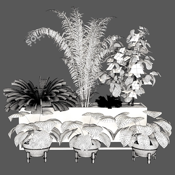 Lush Indoor Plant Set 3D model image 5