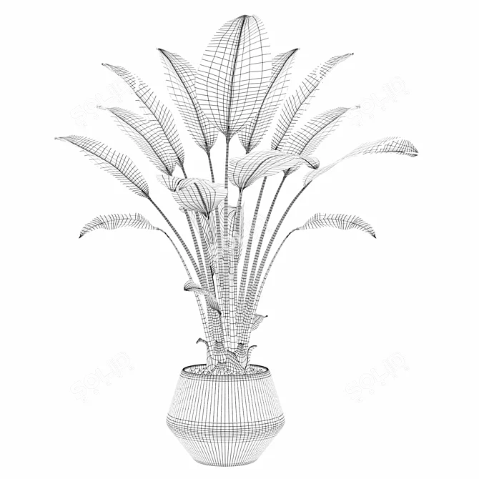 Exquisite Strelitzia: Plants Collection 105 3D model image 3