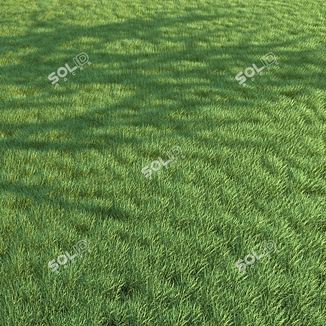Lush Green Grass for Landscaping 3D model image 7