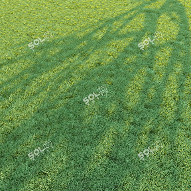 Lush Green Grass for Landscaping 3D model image 8