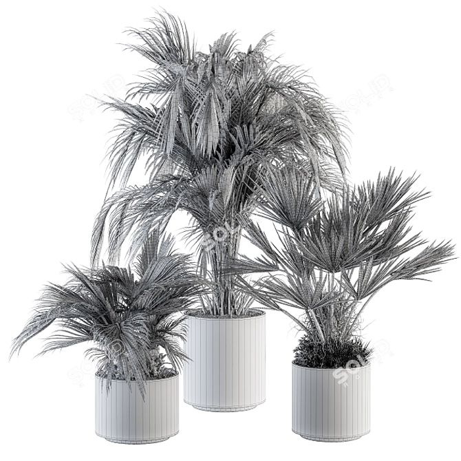 Tropical Paradise: Indoor Palm Set 3D model image 5