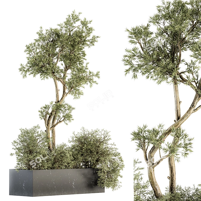 Elegant Marble Box Indoor Plants 3D model image 4
