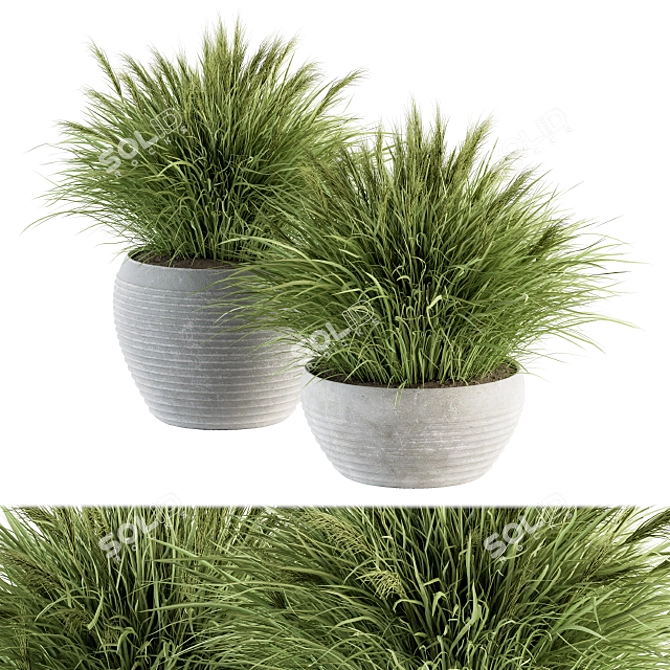 Fresh Green Grass in Pot 3D model image 1