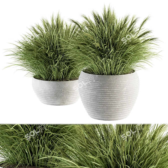 Fresh Green Grass in Pot 3D model image 2