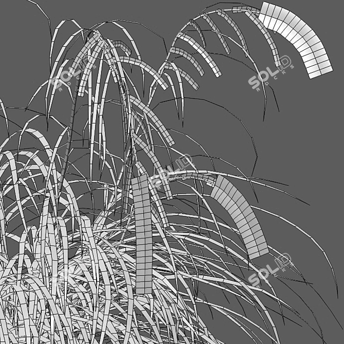 Archived Carex pendula Plant 3D Models 3D model image 3