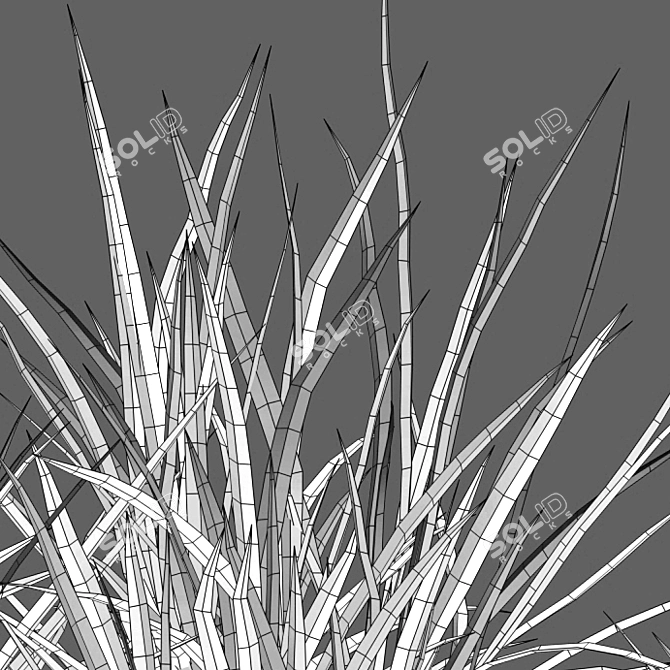 Elegant Pendulous Sedge - 3D Models 3D model image 3