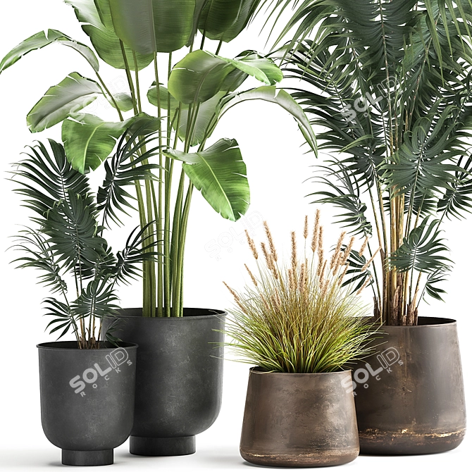 Exotic Plant Collection in Stylish Pots 3D model image 2