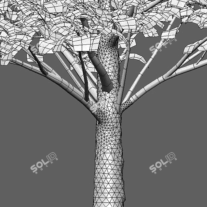 Carpinus Betulus Bundle - 3D Tree Models 3D model image 3