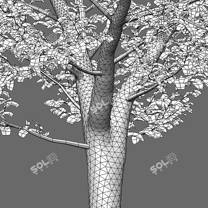 Carpinus Betulus: 3D Tree Model 3D model image 3