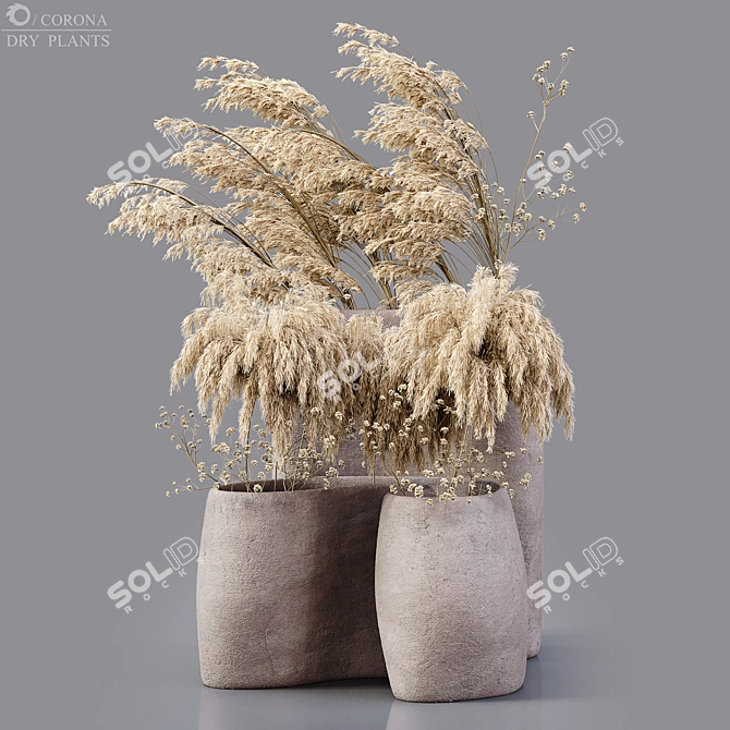 Desiccated Plant Collection 3D model image 1