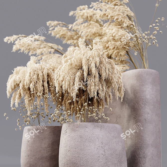Desiccated Plant Collection 3D model image 3