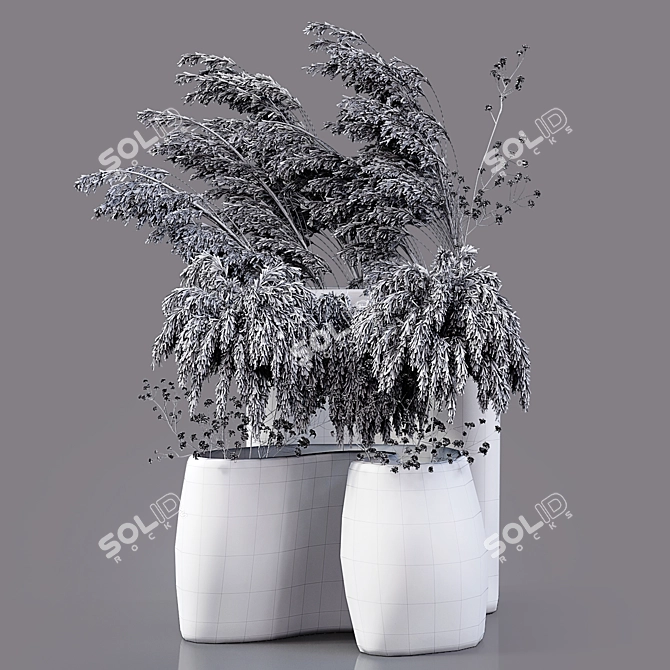 Desiccated Plant Collection 3D model image 5