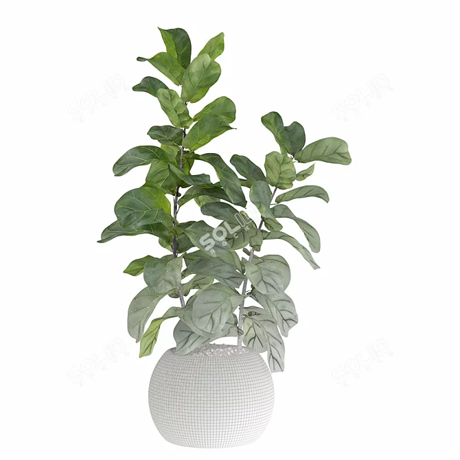 Ficus Lyrata: Exquisite Foliage in Felt Pot 3D model image 2