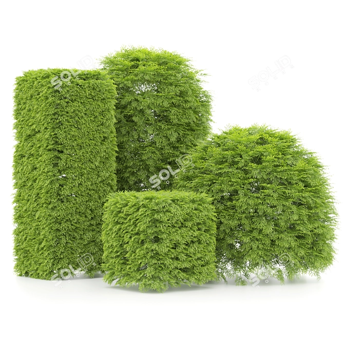 Variety of Shaped Bush Plants 3D model image 4