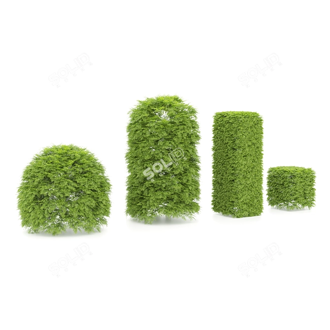 Variety of Shaped Bush Plants 3D model image 6