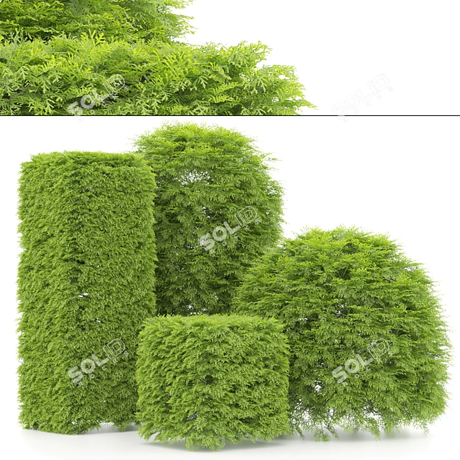 Variety of Shaped Bush Plants 3D model image 7