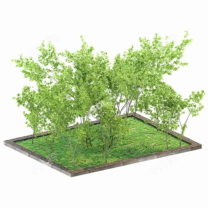 Versatile Yard Square with 2 Corona Scatter 3D model image 9