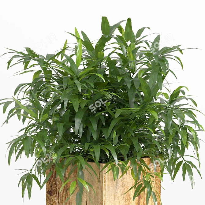 Title: Natural Wood Plant Set - 130 cm 3D model image 8