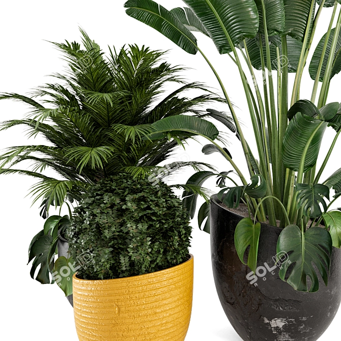 Rustic Outdoor Plant Tree - Set 127 3D model image 2