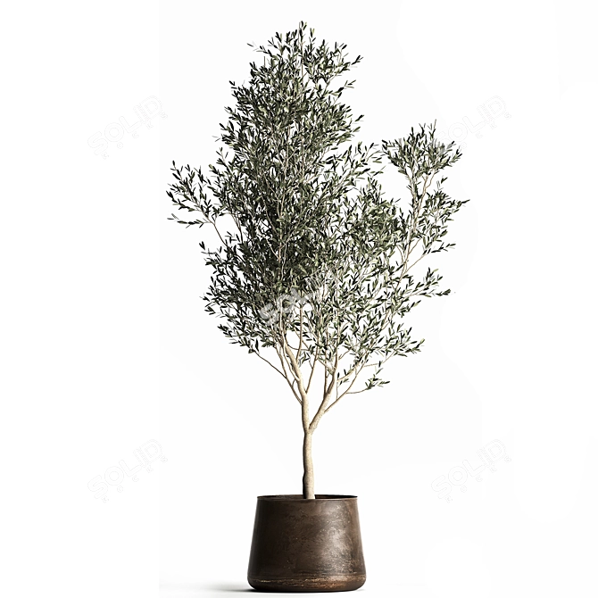 Exotic Plant Collection: Decorative Trees & Indoor Plants 3D model image 3