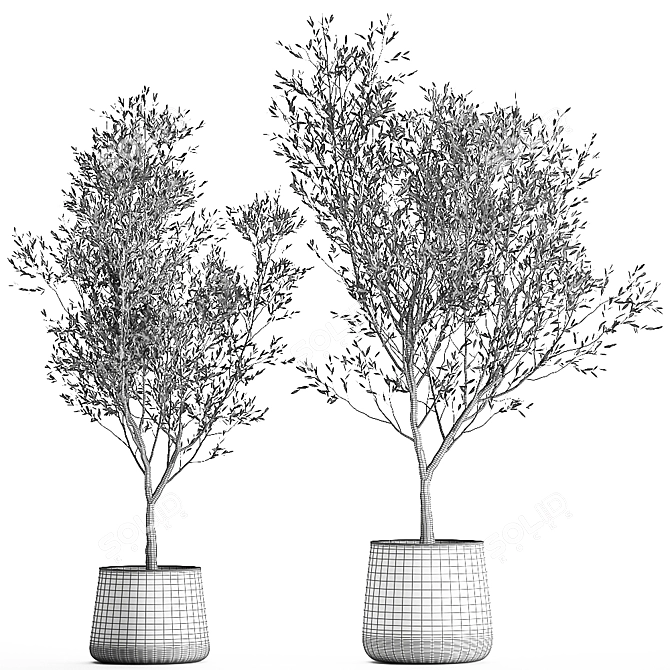 Exotic Plant Collection: Decorative Trees & Indoor Plants 3D model image 6