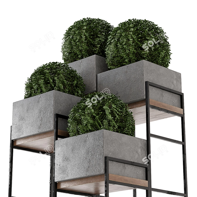 Rustic Outdoor Plants Set: Concrete Pot on Metal Shelf 3D model image 2
