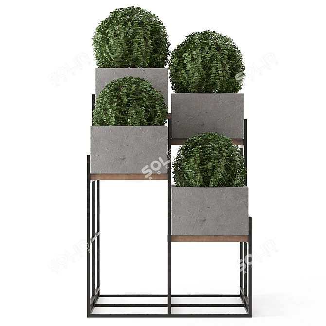 Rustic Outdoor Plants Set: Concrete Pot on Metal Shelf 3D model image 4