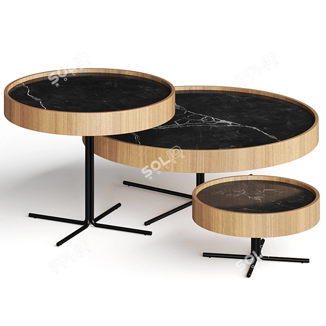 Sergio Batista Regia Coffee Tables 3D model image 1