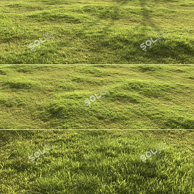 Garden Grass Variety Pack: Scattered Patterns & 3D Models 3D model image 3