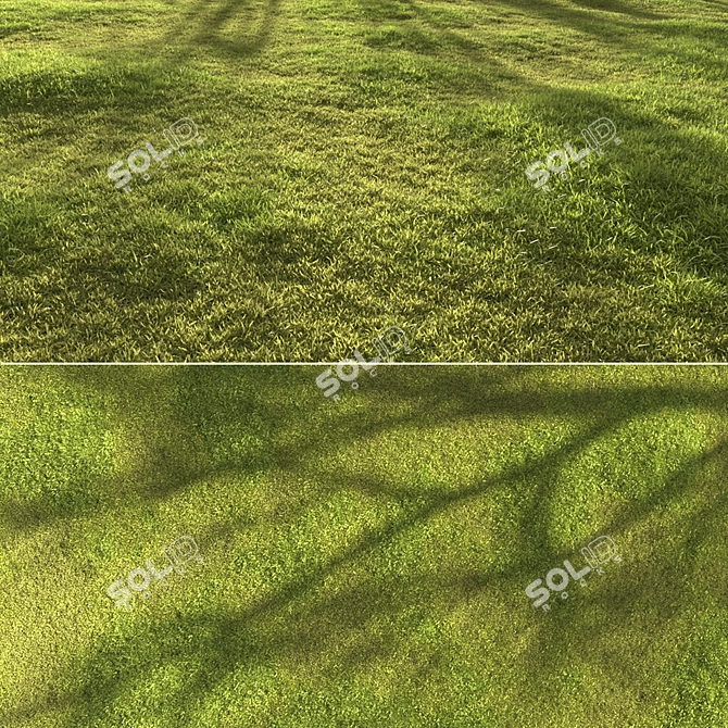 Garden Grass Variety Pack: Scattered Patterns & 3D Models 3D model image 7