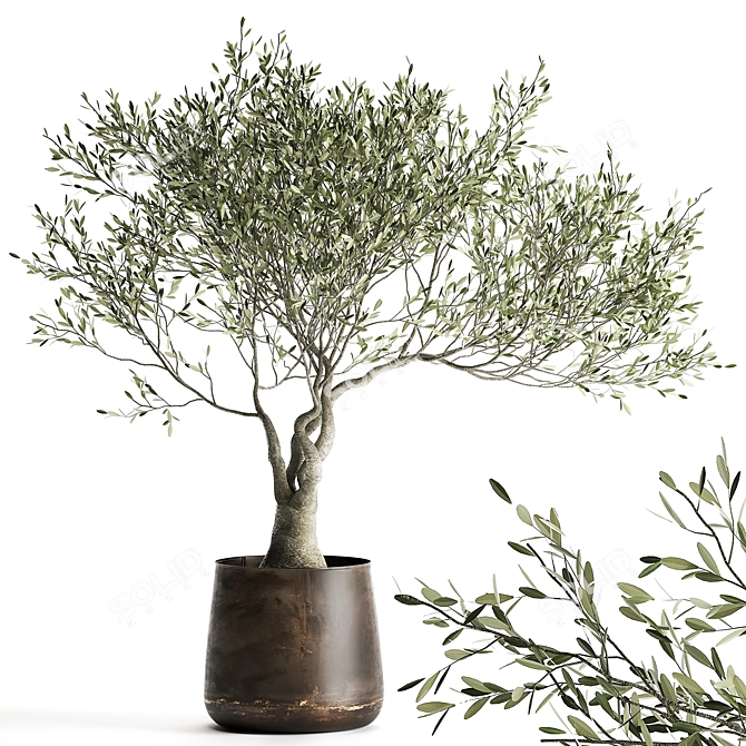 Exotic Metal Pot Plant Collection 3D model image 1