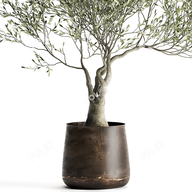 Exotic Metal Pot Plant Collection 3D model image 2