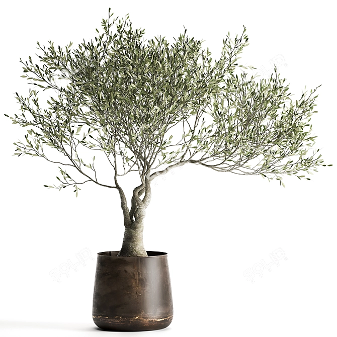 Exotic Metal Pot Plant Collection 3D model image 6