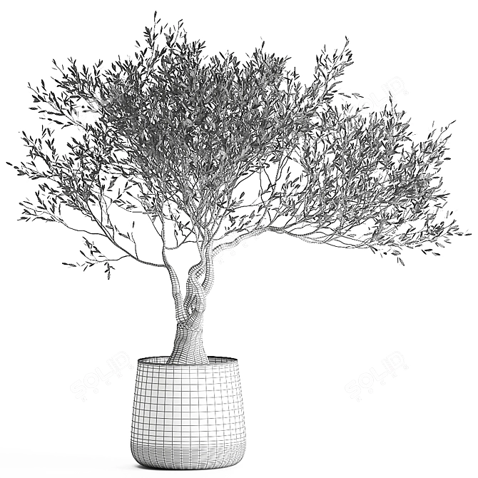 Exotic Metal Pot Plant Collection 3D model image 7
