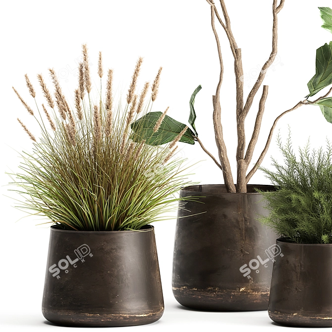 Tropical Plant Collection: Stylish Iron Pots 3D model image 5