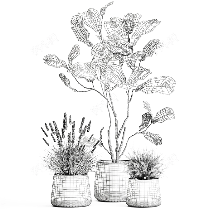 Tropical Plant Collection: Stylish Iron Pots 3D model image 6