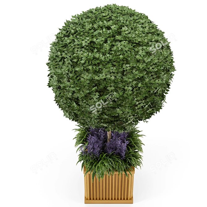 Wooden Pot Bush and Tree Set - Outdoor Plants 3D model image 4